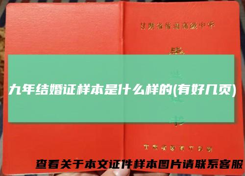 九年结婚证样本是什么样的(有好几页)