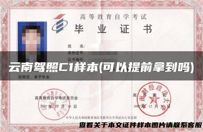 云南驾照C1样本(可以提前拿到吗)