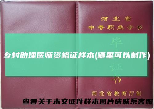 乡村助理医师资格证样本(哪里可以制作)