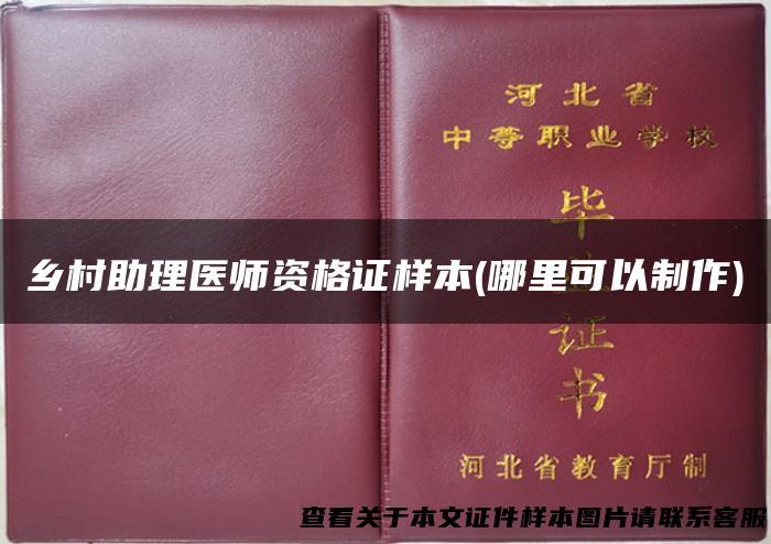乡村助理医师资格证样本(哪里可以制作)