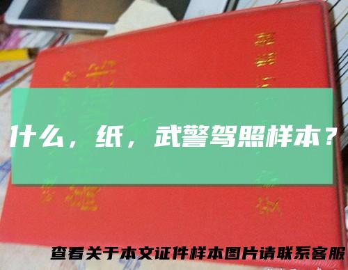 什么,纸,武警驾照样本?