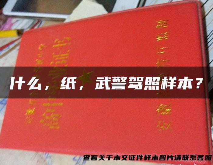 什么，纸，武警驾照样本？