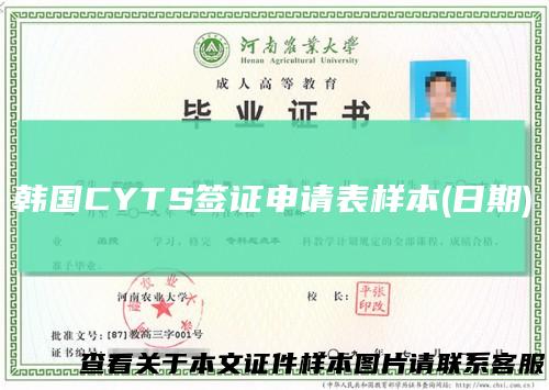 韩国CYTS签证申请表样本(日期)