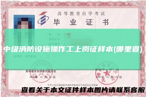 中级消防设施操作工上岗证样本(哪里查)