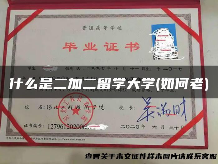什么是二加二留学大学(如何老)