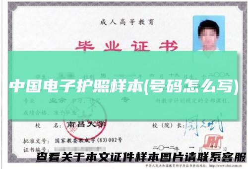 中国电子护照样本(号码怎么写)