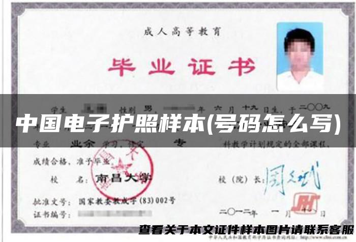 中国电子护照样本(号码怎么写)