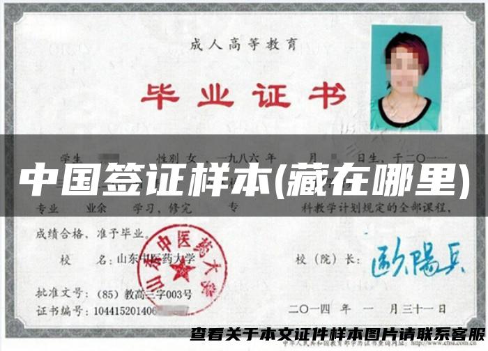 中国签证样本(藏在哪里)