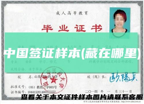 中国签证样本(藏在哪里)