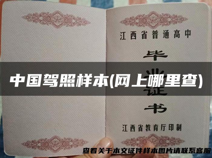 中国驾照样本(网上哪里查)