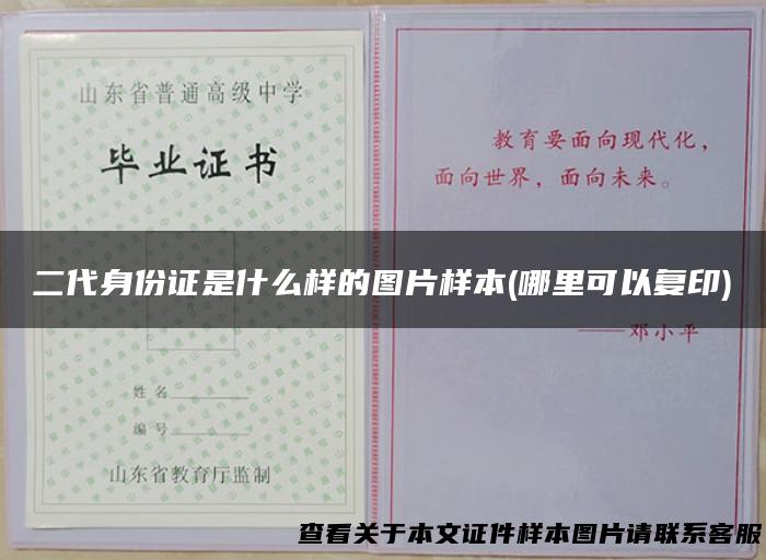二代身份证是什么样的图片样本(哪里可以复印)