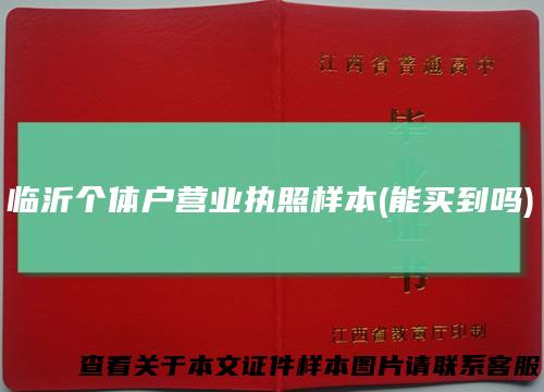 临沂个体户营业执照样本(能买到吗)
