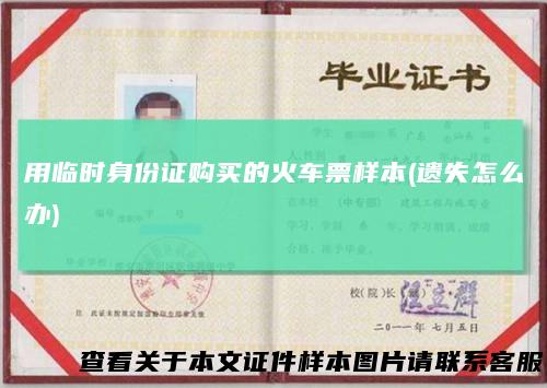 用临时身份证购买的火车票样本(遗失怎么办)