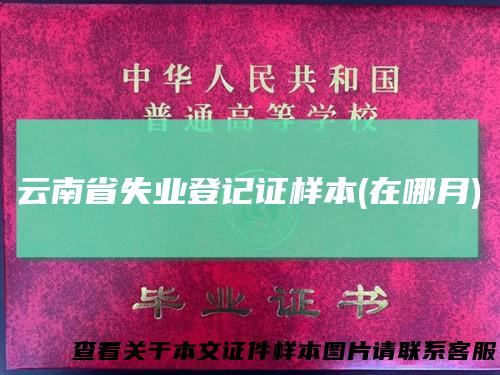 云南省失业登记证样本(在哪月)