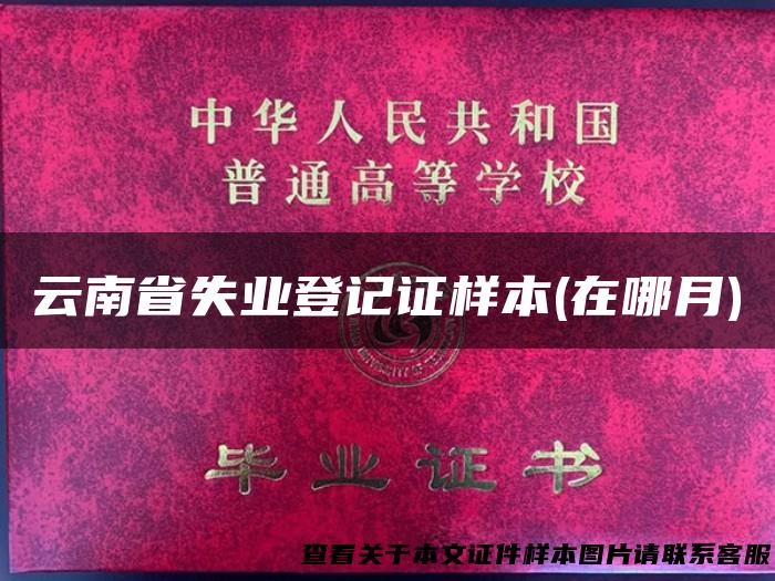 云南省失业登记证样本(在哪月)