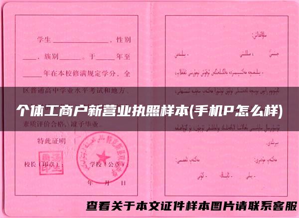 个体工商户新营业执照样本(手机P怎么样)