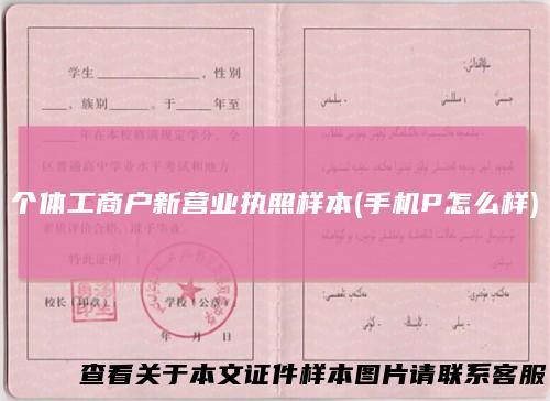 个体工商户新营业执照样本(手机P怎么样)