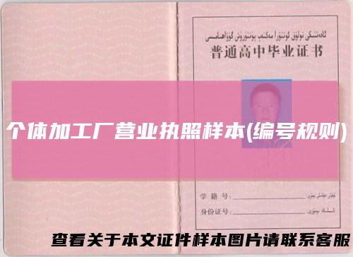 个体加工厂营业执照样本(编号规则)