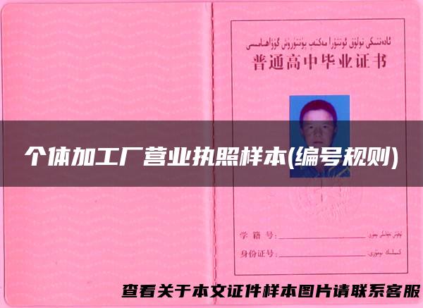 个体加工厂营业执照样本(编号规则)