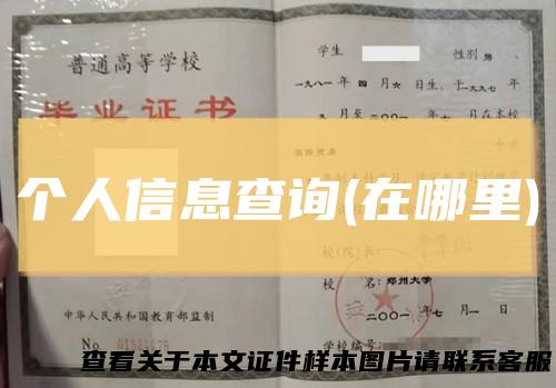 个人信息查询(在哪里)