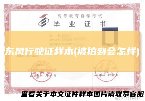 东风行驶证样本(被拍到会怎样)