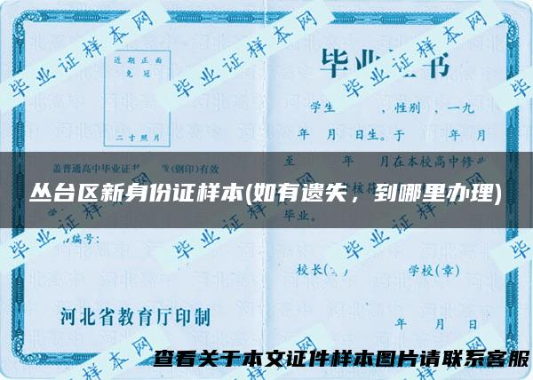 丛台区新身份证样本(如有遗失，到哪里办理)