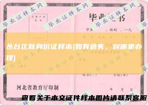丛台区新身份证样本(如有遗失，到哪里办理)