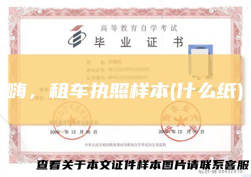 嗨，租车执照样本(什么纸)