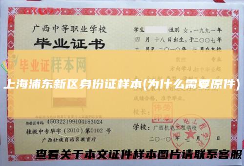 上海浦东新区身份证样本(为什么需要原件)
