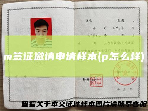 m签证邀请申请样本(p怎么样)