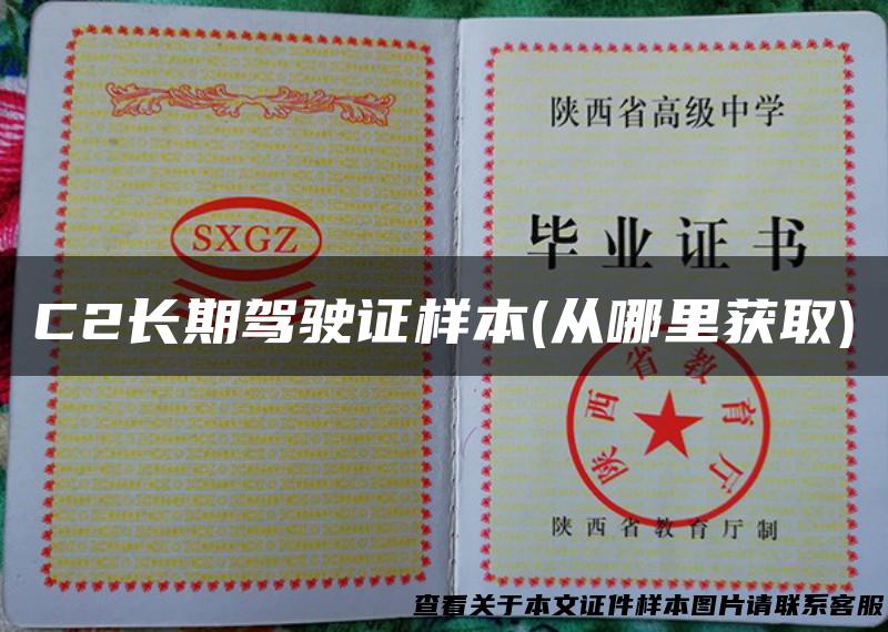 C2长期驾驶证样本(从哪里获取)