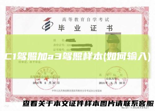 C1驾照加a3驾照样本(如何输入)