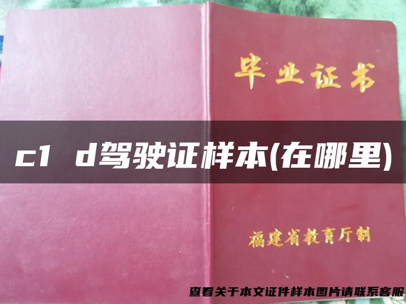 c1 d驾驶证样本(在哪里)