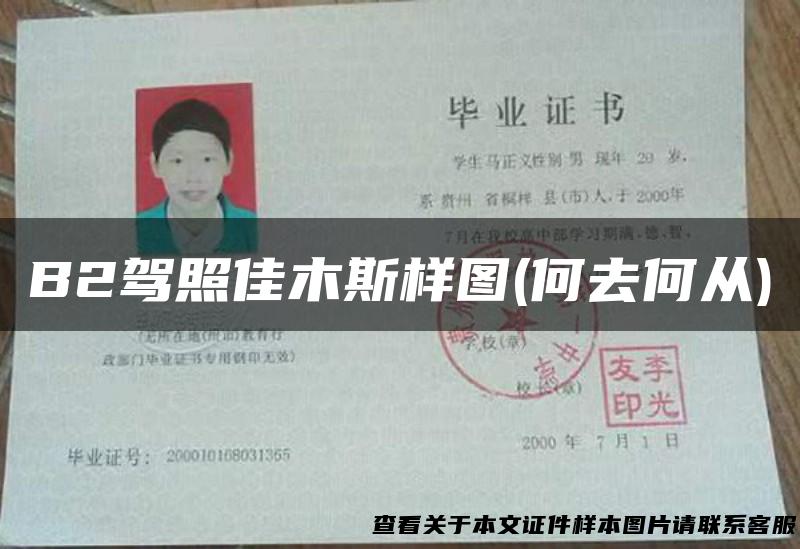 B2驾照佳木斯样图(何去何从)