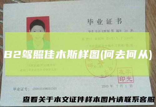 B2驾照佳木斯样图(何去何从)