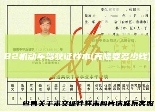 B2机动车驾驶证样本(克隆要多少钱)
