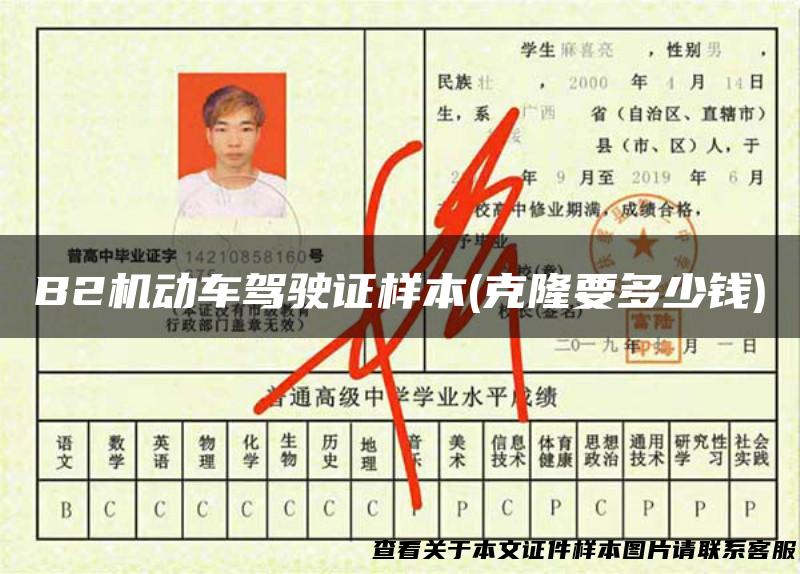 B2机动车驾驶证样本(克隆要多少钱)