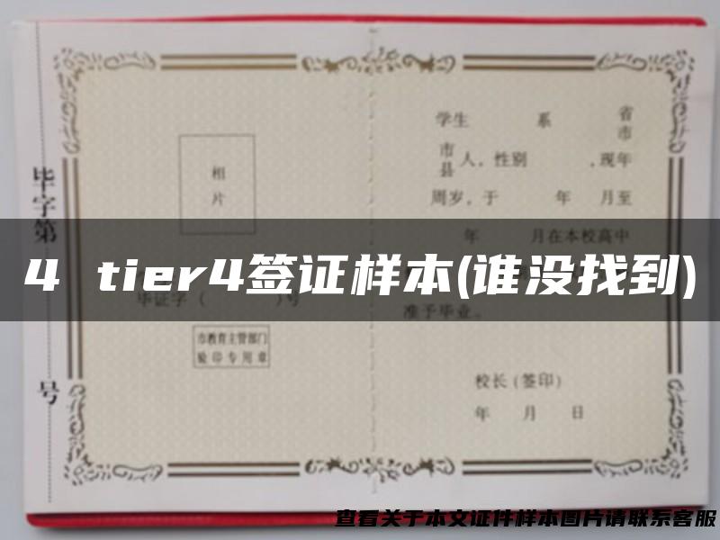 4 tier4签证样本(谁没找到)