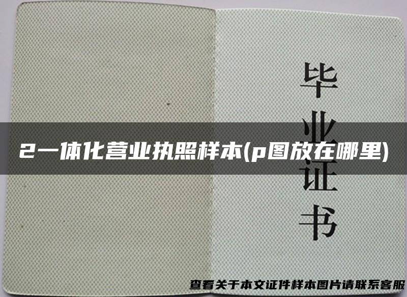 2一体化营业执照样本(p图放在哪里)