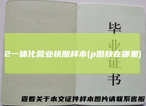 2一体化营业执照样本(p图放在哪里)