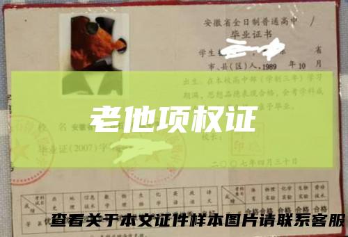 老他项权证