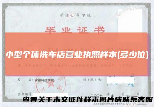小型个体洗车店营业执照样本(多少位)