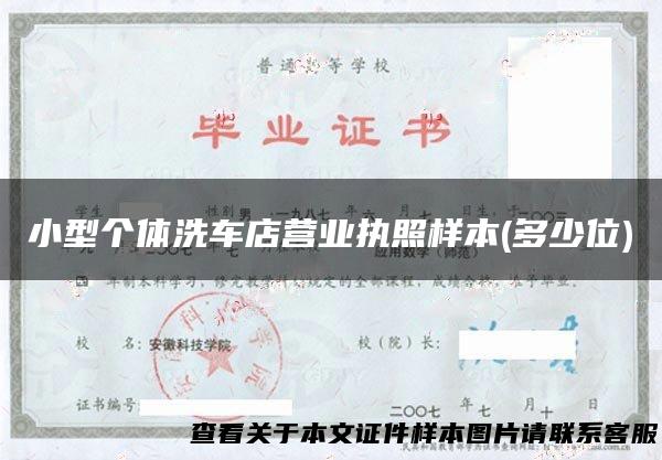 小型个体洗车店营业执照样本(多少位)