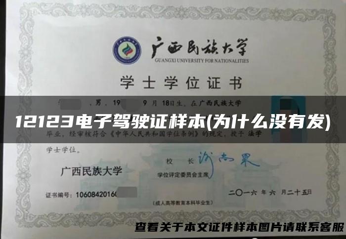 12123电子驾驶证样本(为什么没有发)