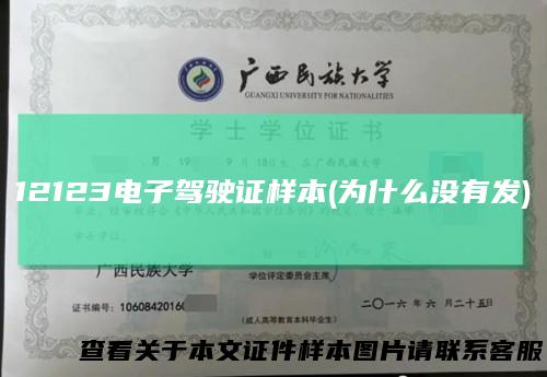 12123电子驾驶证样本(为什么没有发)