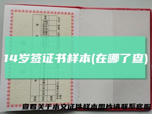 14岁签证书样本(在哪了查)