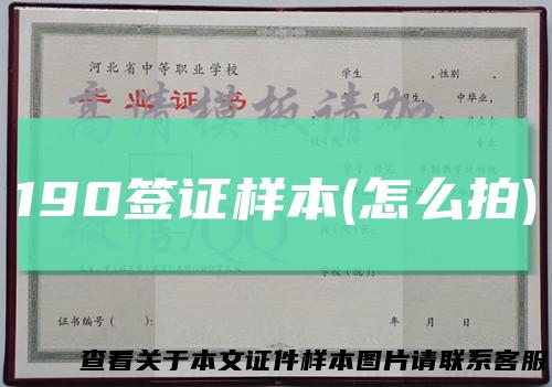 190签证样本(怎么拍)