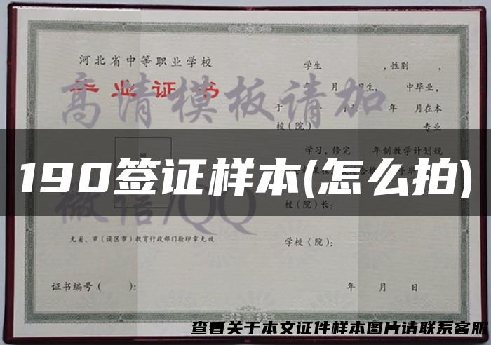 190签证样本(怎么拍)