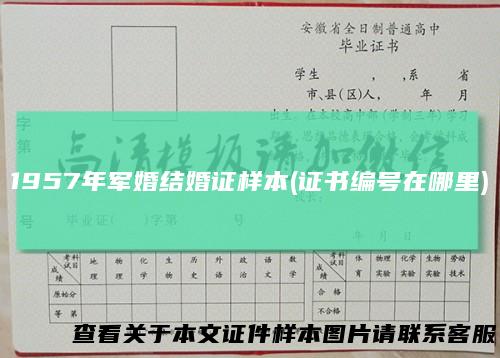 1957年军婚结婚证样本(证书编号在哪里)
