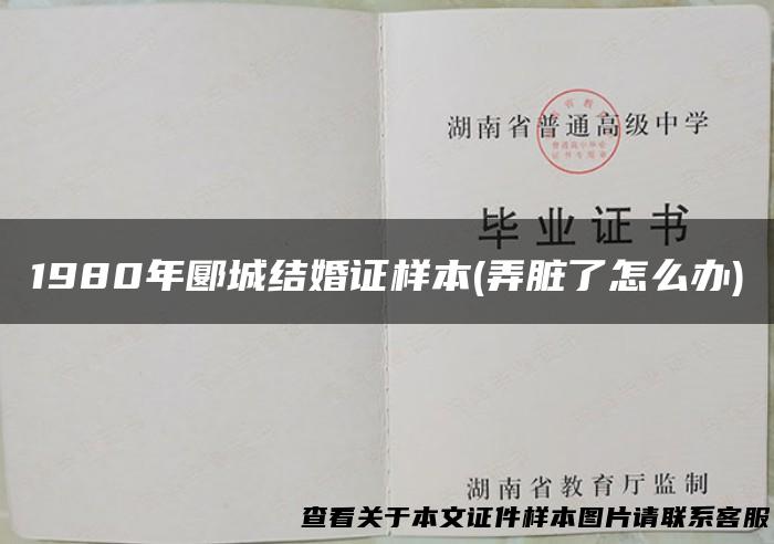 1980年郾城结婚证样本(弄脏了怎么办)